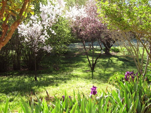 Sofala Cottage - Tourism Cairns 0