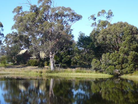 Wind Song Bed And Breakfast - Tourism Cairns 2
