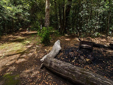 Wombat Creek Campground - Tourism Cairns 0