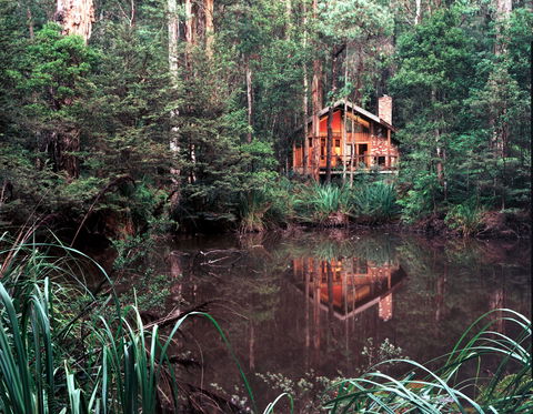 Woodlands Rainforest Retreat - Tourism Cairns 0