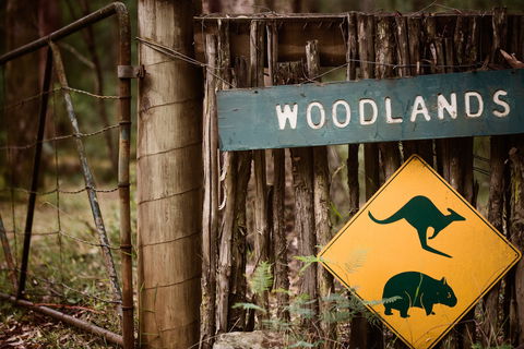 Woodlands Rainforest Retreat - Tourism Cairns 1
