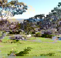 Austiny Bed and Breakfast - Tourism Cairns