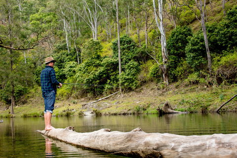 Bass Lodge - Tourism Cairns 0