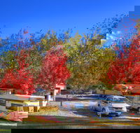 Beechworth Lake Sambell Caravan Park - Tourism Cairns