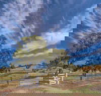 Bulwara Farmhouse - Tourism Cairns