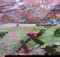 Dingley Dell - Tourism Cairns