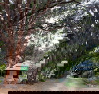 Fernleigh Accommodation - Tourism Cairns