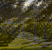 H Boutique Hotel - Tourism Cairns