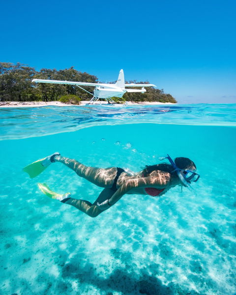Heron Island Resort - Tourism Cairns 1