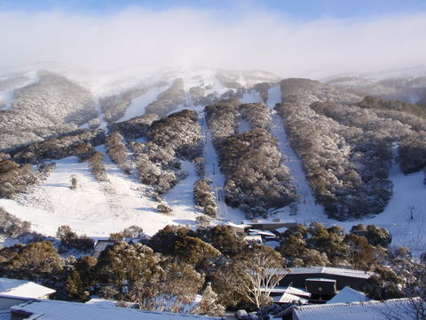 Kasees Apartments And Mountain Lodge - Tourism Cairns 1