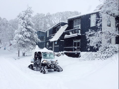 Kilimanjaro Alpine Apartments - Tourism Cairns 2