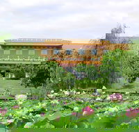 Nan Tien Temple Pilgrim Lodge - Tourism Cairns