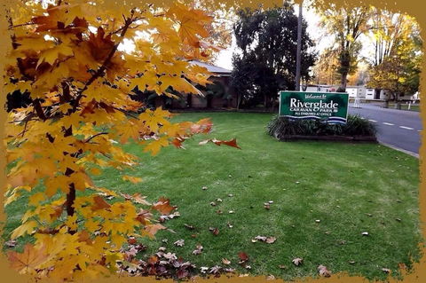 Riverglade Caravan Park - Tourism Cairns 0