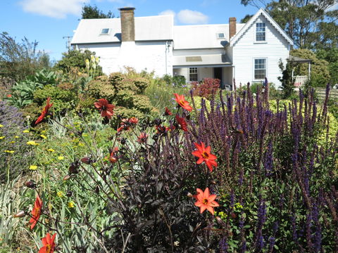 Robin Hood's Well Farm Stay - Tourism Cairns 2