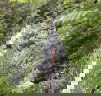 Rosebery Cabin and Tourist Park - Tourism Cairns