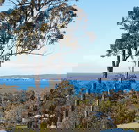 Whale Cove - Tourism Cairns