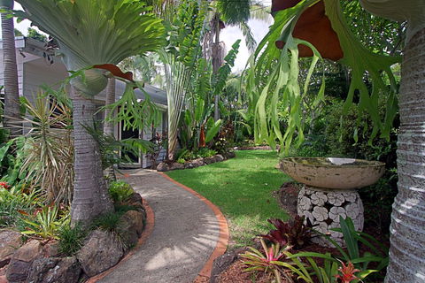Allure - Tourism Cairns 0