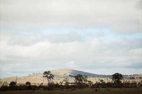 Aurelias Farm Bed And Breakfast - Tourism Cairns 1