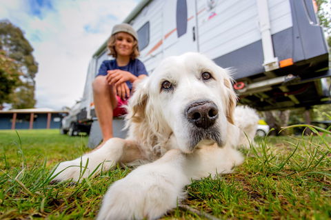 BIG4 St Helens Holiday Park - Tourism Cairns 2