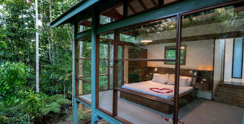 Crystal Creek Rainforest Retreat - Tourism Cairns 2