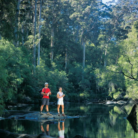 Drafty's Camp At Warren National Park - Tourism Cairns 0