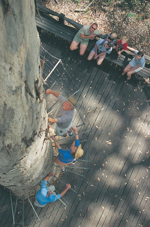 Drafty's Camp At Warren National Park - Tourism Cairns 1