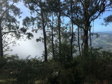 Escarpment - Tourism Cairns 2