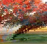 Little Kickabell Country Homestead - Tourism Cairns