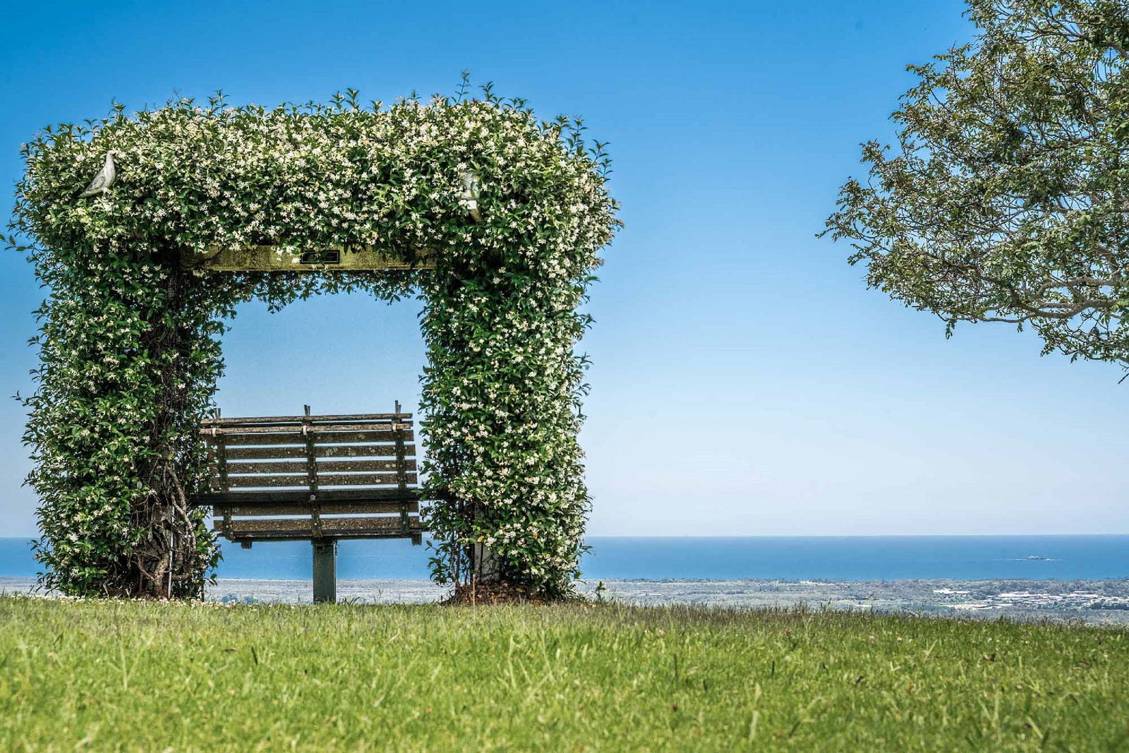 Mcleods Shoot NSW Tourism Cairns