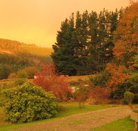 Red Rooster Host Farm