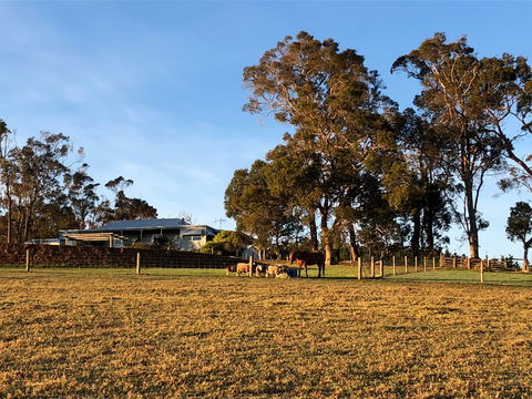 Great Southern Outback Tours & Accommodation - Tourism Cairns 2