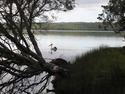 The Cove - Tourism Cairns 0
