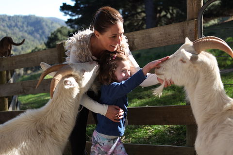 Valley View Nature Retreat - Tourism Cairns 1