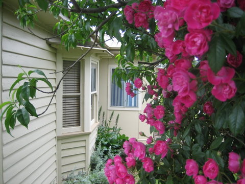 Valley Views Bed And Breakfast - Tourism Cairns 0
