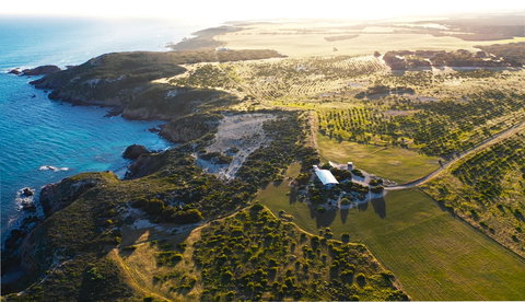 Yondah Beach House - Tourism Cairns 1