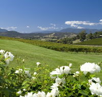 Balgownie Estate Vineyard Resort and Spa - Tourism Cairns