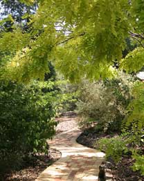 Monbulk VIC Tourism Cairns