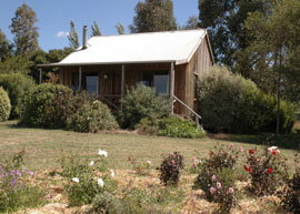 Bloomfield Cottages - Tourism Cairns 3
