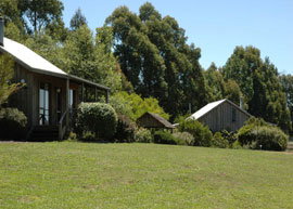 Bloomfield Cottages - Tourism Cairns 4