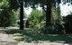 Bloomfield Cottages - thumb 5