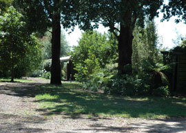 Bloomfield Cottages - Tourism Cairns 5