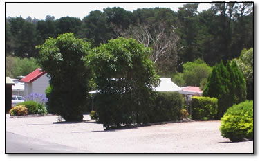 Wantirna Park - Tourism Cairns 5