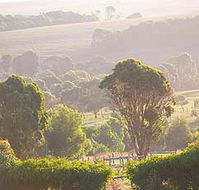 Mackas Farm - Tourism Cairns