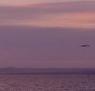 Pelican Sands Bed and Breakfast - Tourism Cairns