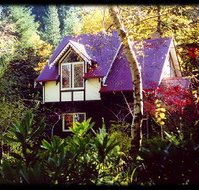 Forest Glade Olinda