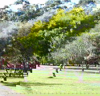 Otways Tourist Park - Tourism Cairns