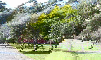 Otways Tourist Park - Tourism Cairns 0