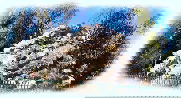 Otways Tourist Park - Tourism Cairns 3