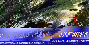 Otways Tourist Park - Tourism Cairns 4