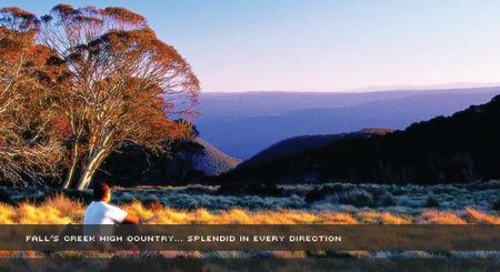 Alpine View Apartments - Tourism Cairns 1